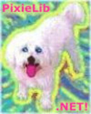 PixieLib(TM) Library by Paul DiLascia