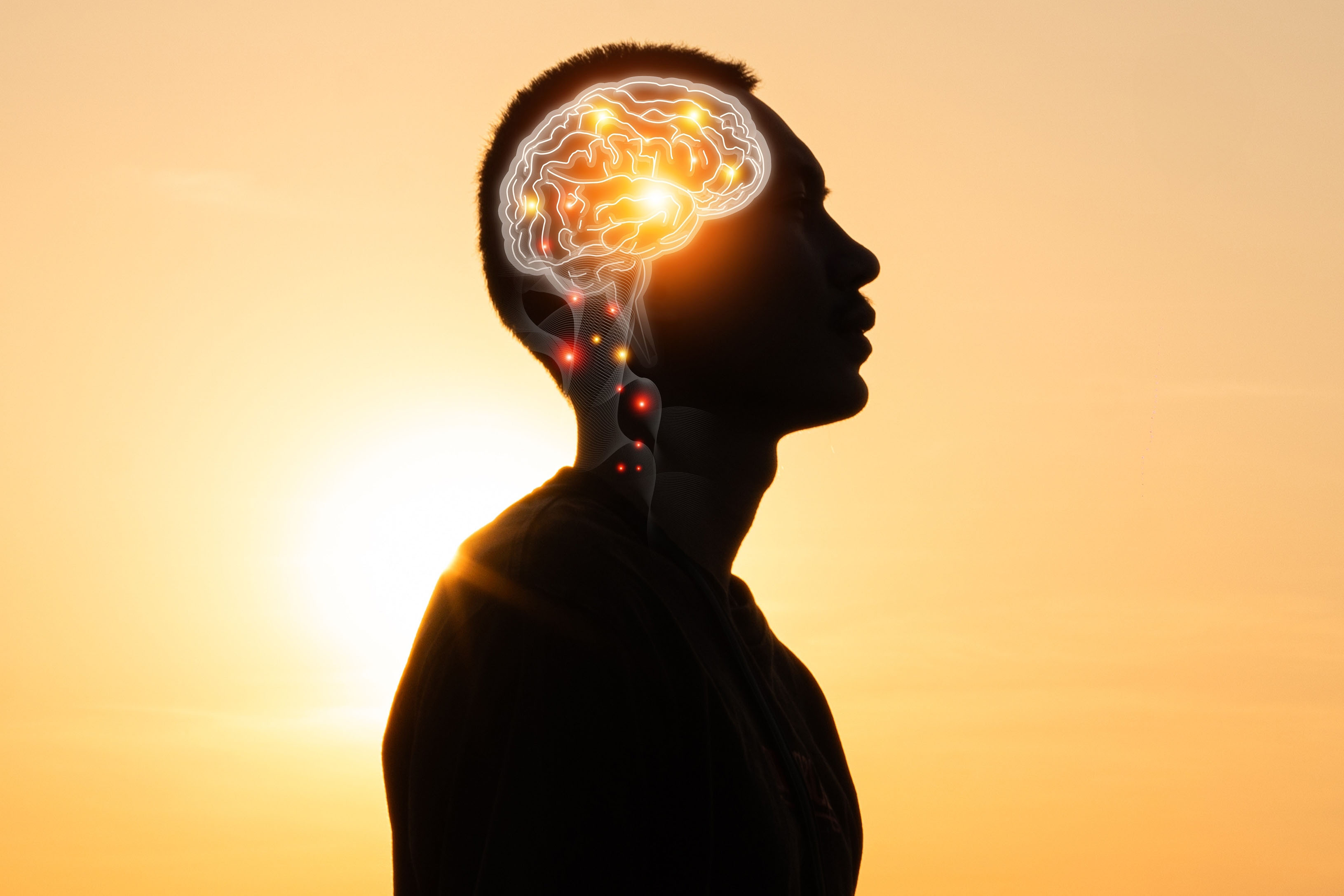 Think Clearly, Age Powerfully: Your Guide to Lifelong Brain Health with Dr. Darla Booth