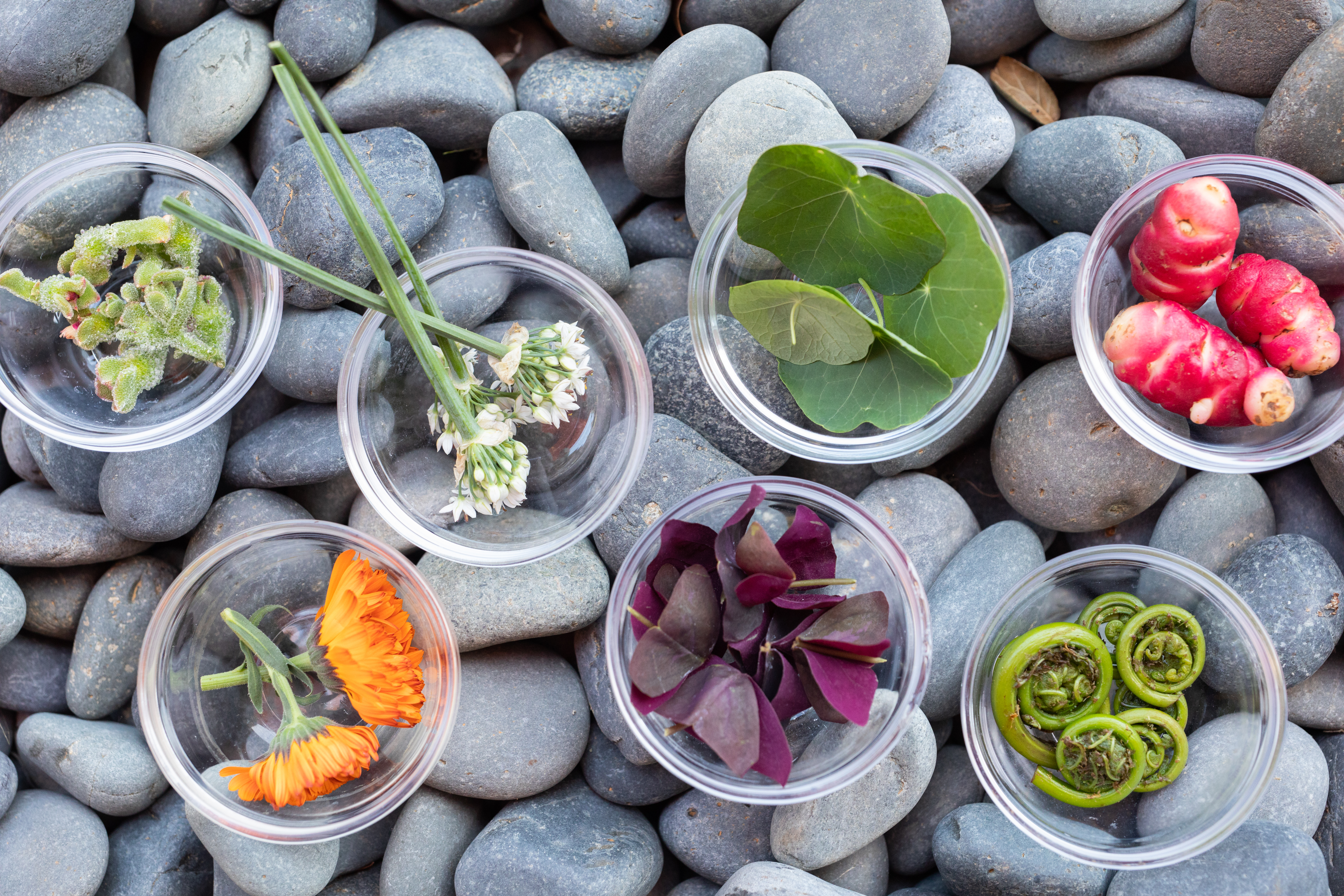 2025 Teaching Kitchen Symposium: Celebrating 10 Years of Impact