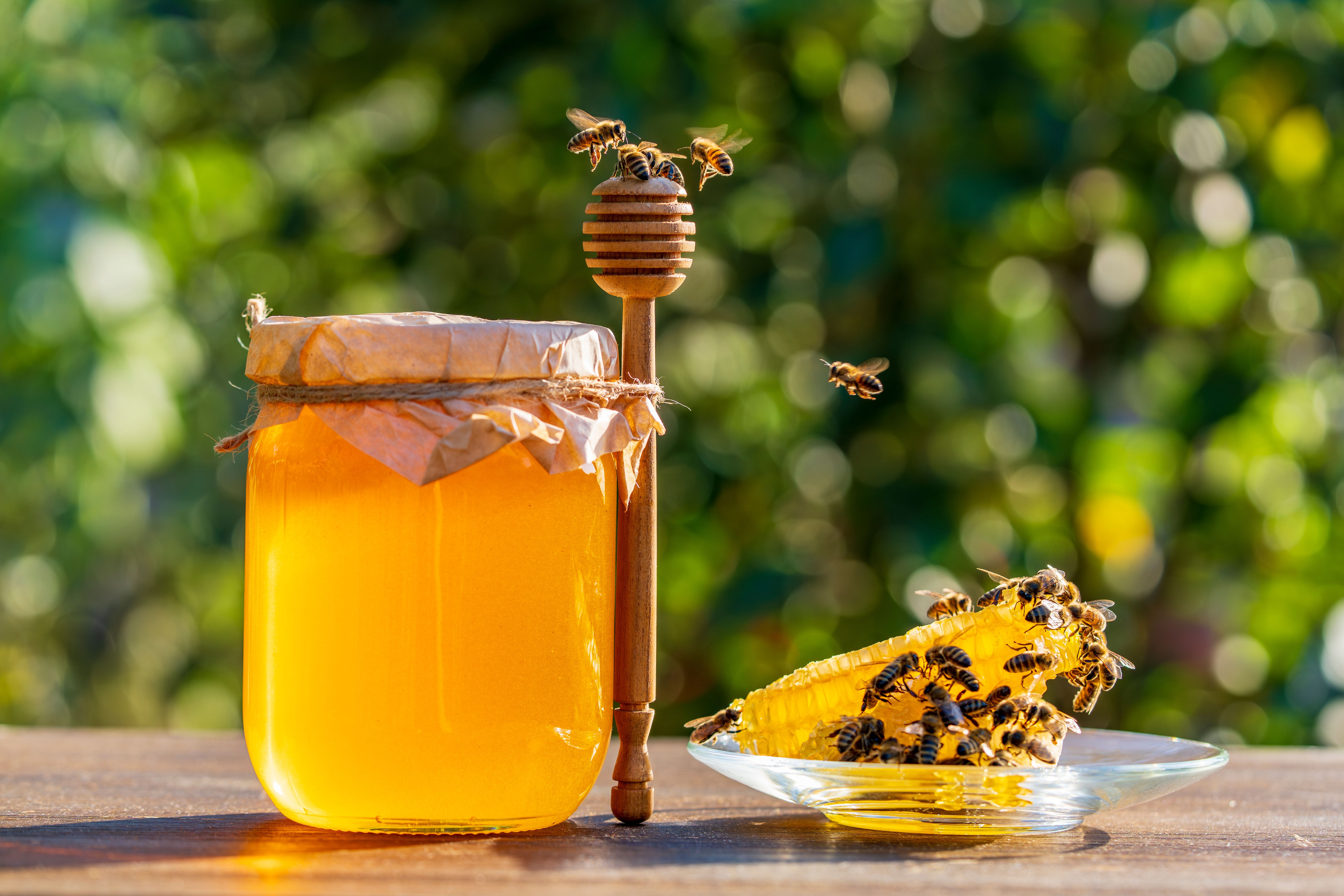 Discovery Dinner: Cooking with Honey Immersive Education