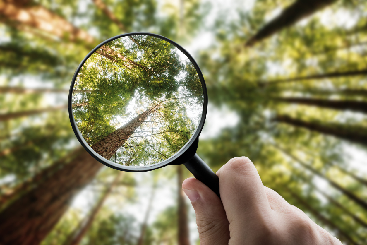 Overnight Program Stay: Think Clearly, Age Powerfully: Your Guide to Lifelong Brain Health