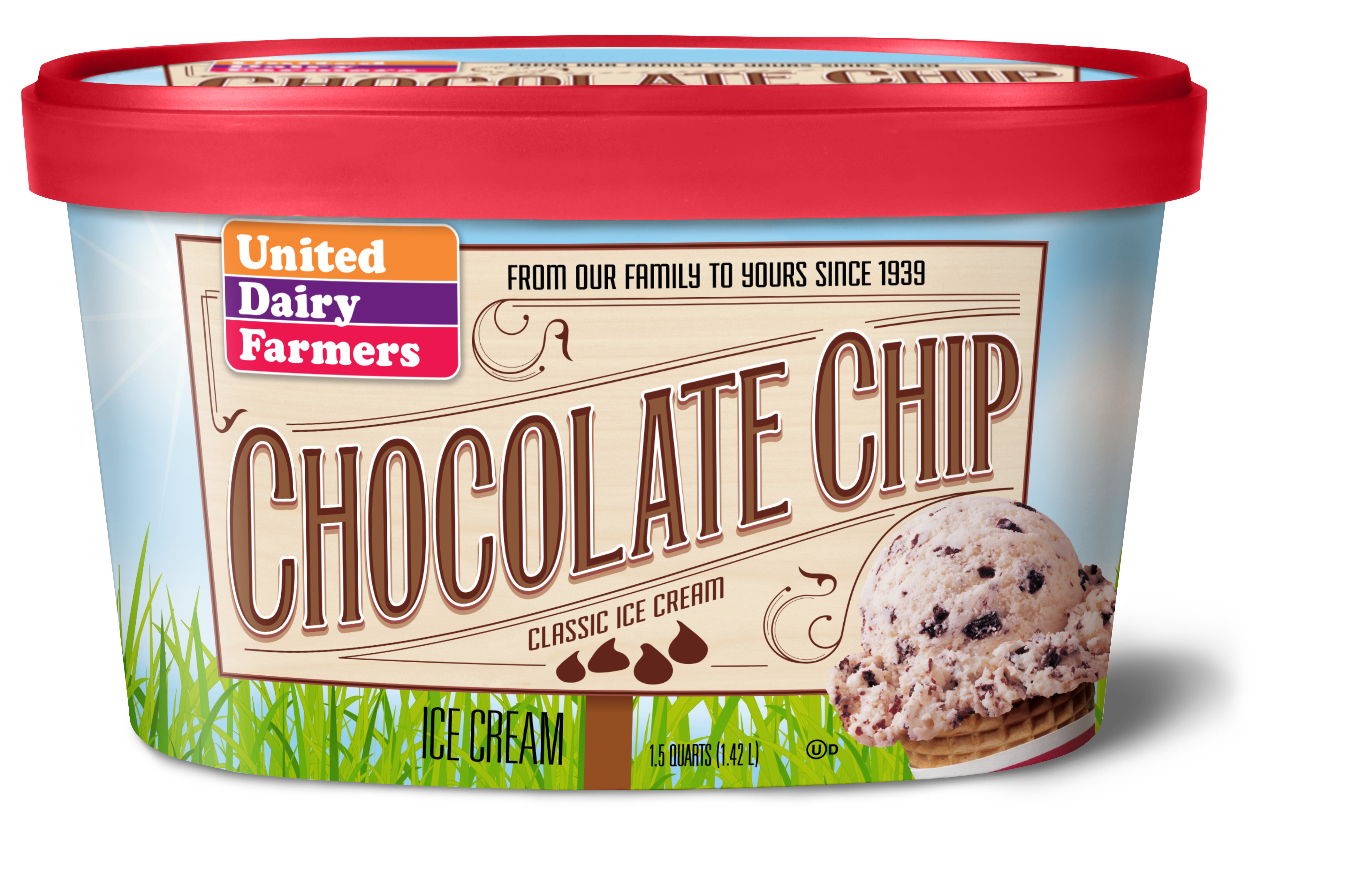 Chocolate Chip