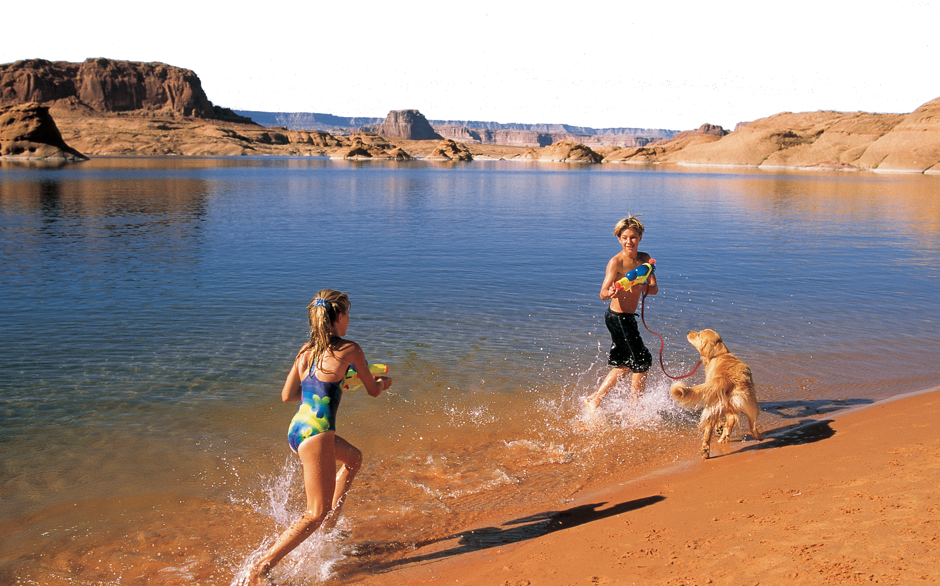 Pets - Glen Canyon National Recreation Area at Lake Powell Resorts Marinas
