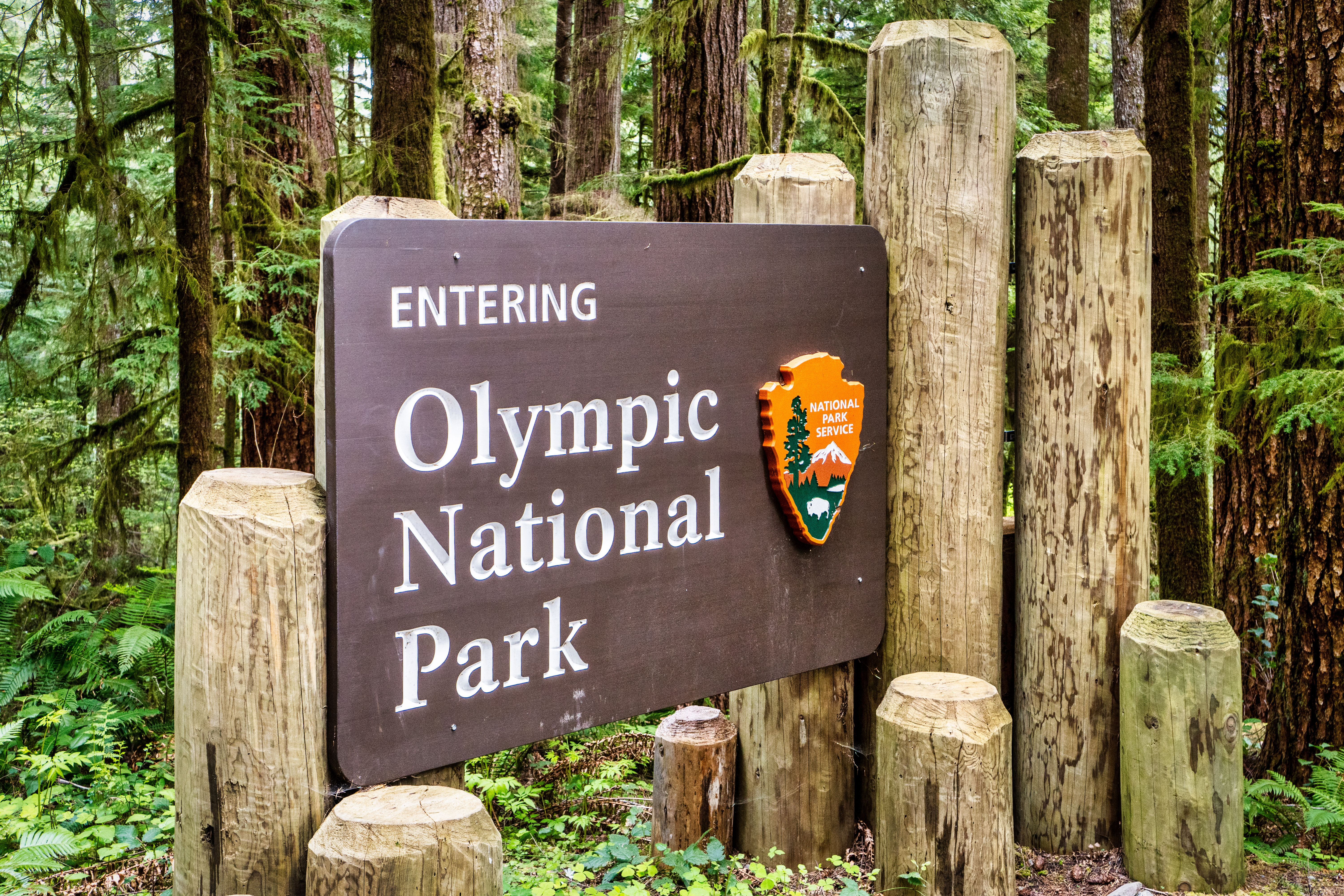 Explore local events - Olympic National Park