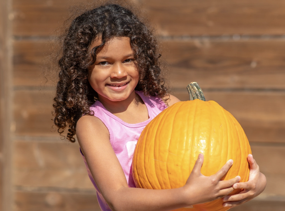 Pumpkin Pic-A-Nic Weekends