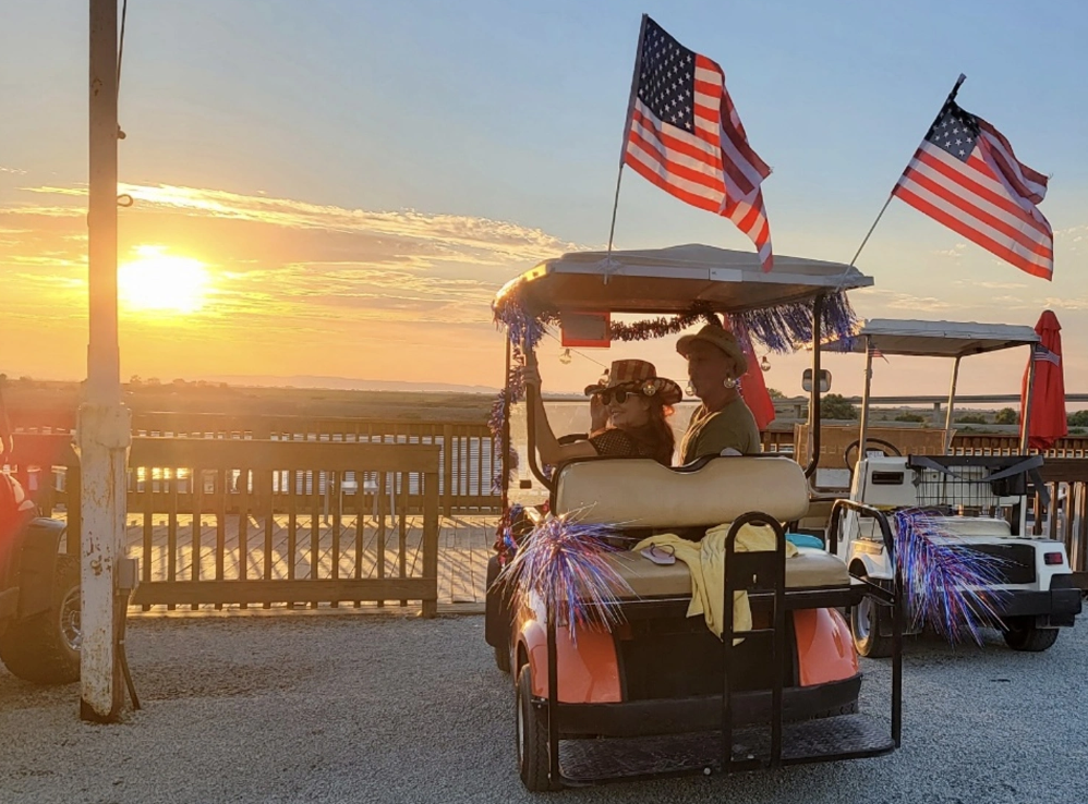 250 Years: A Bear-y American Celebration (Independence Day)