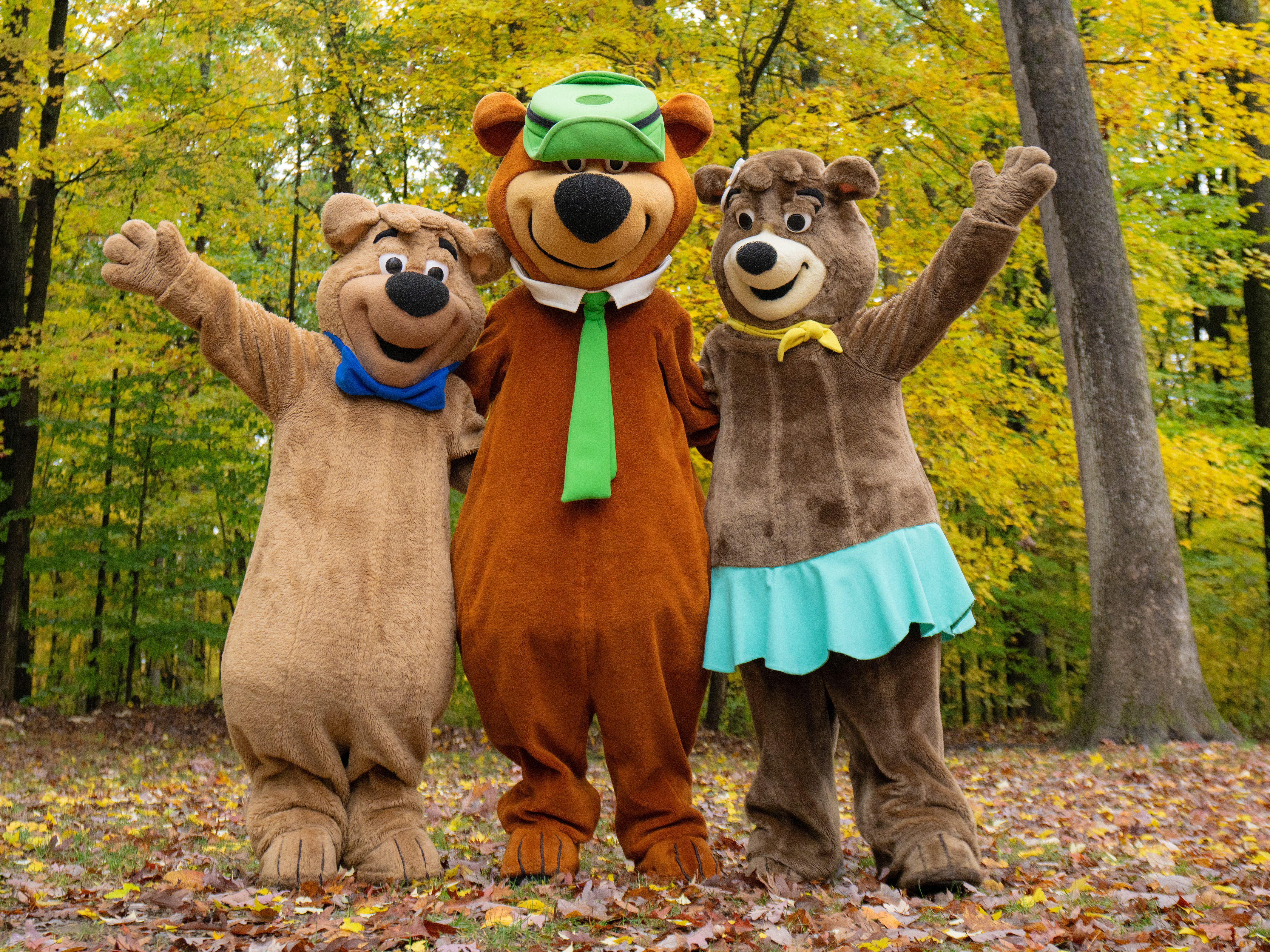 Tme to Wake up the bears