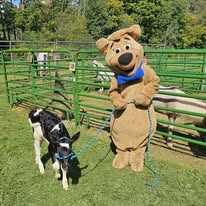 Down on the Farm