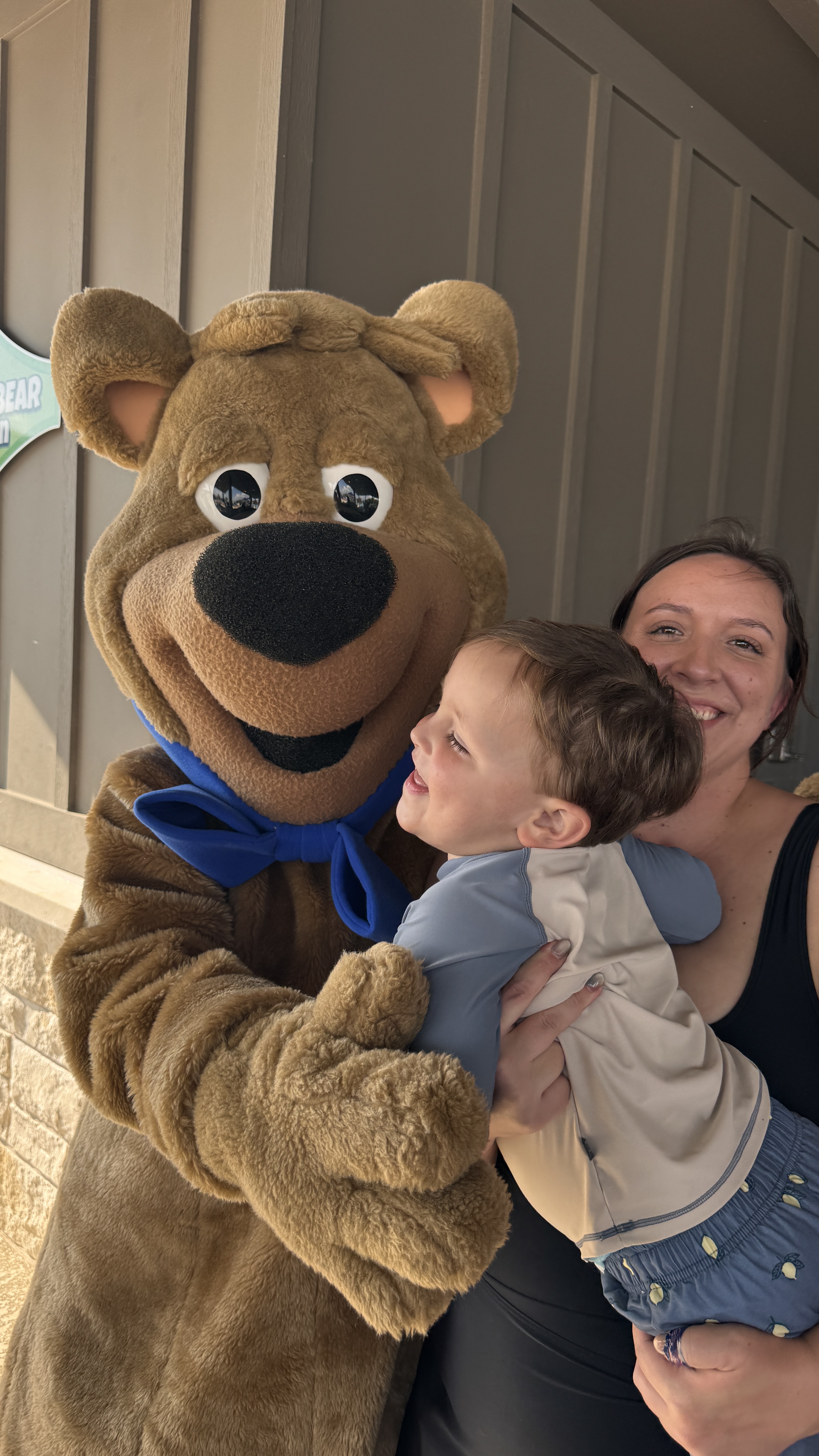 Boo Boo™ Dino Birthday