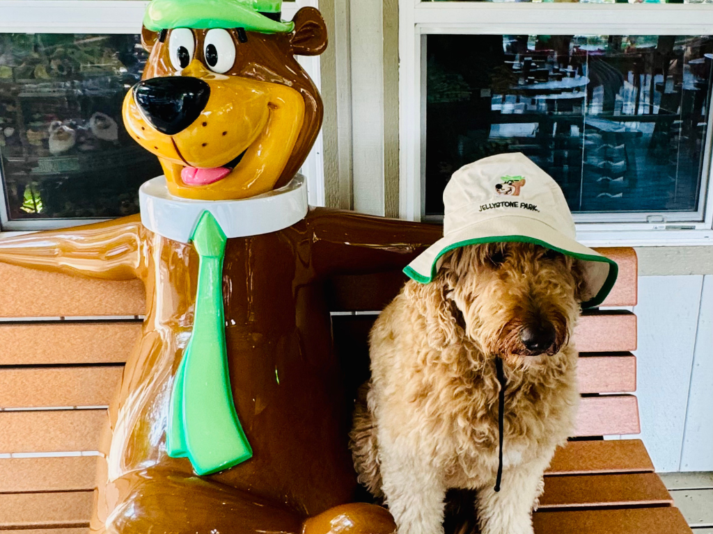 We Love Our Pups Weekend