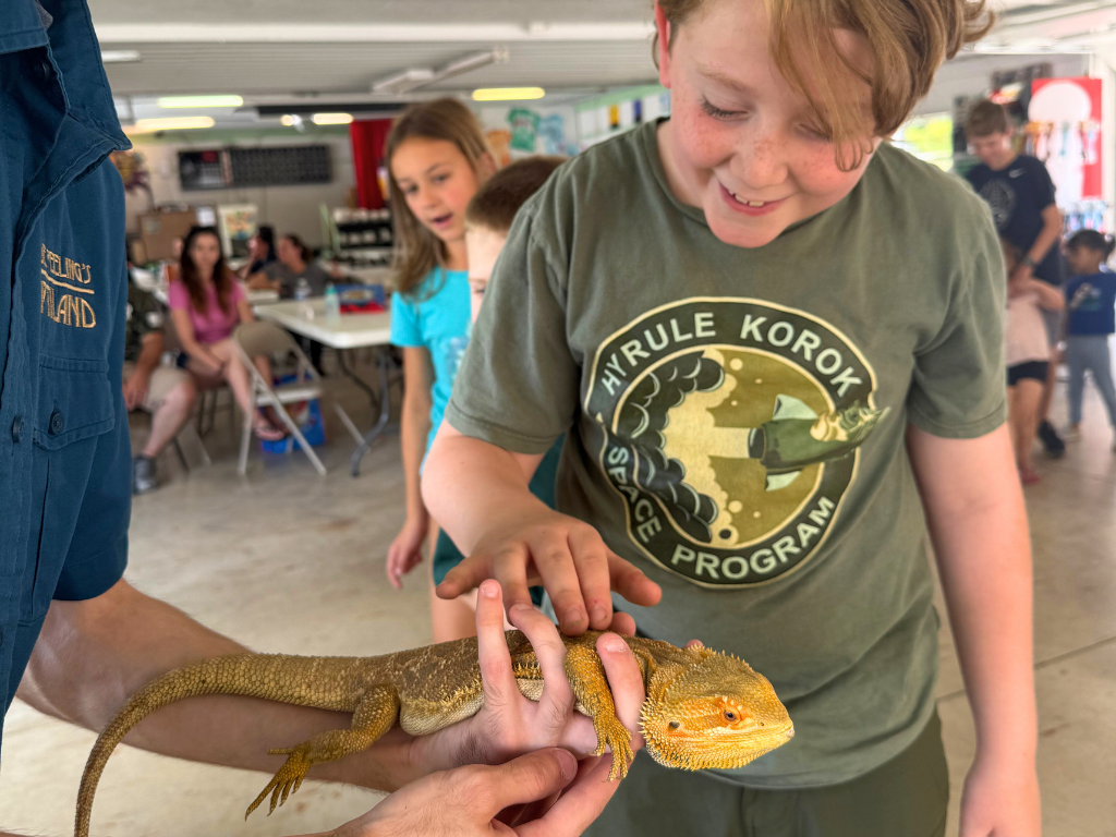 Jurassic Jungle & Reptile Mania