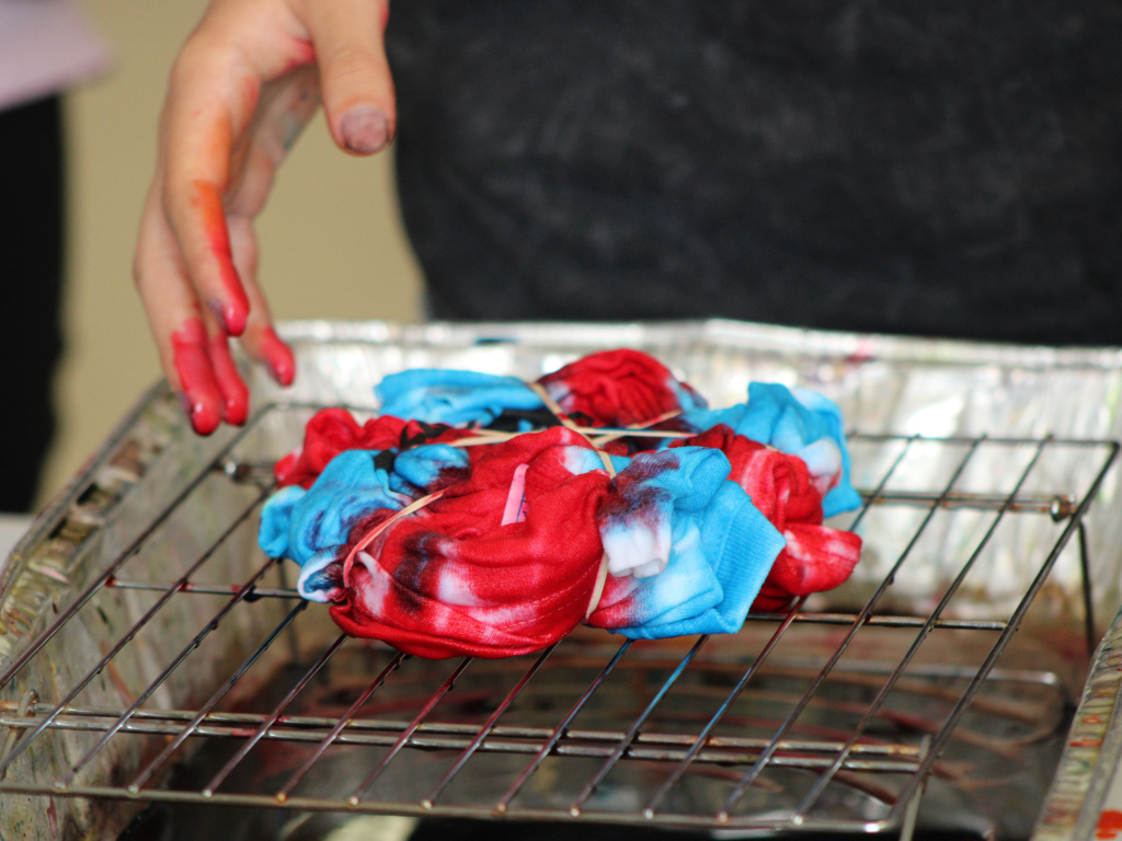 July 4th Patriotic Pic-A-Nic!