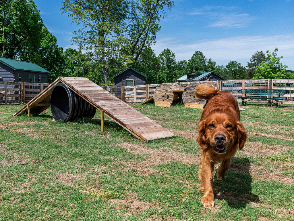 Pet-Lovers Paw-ty Weekend