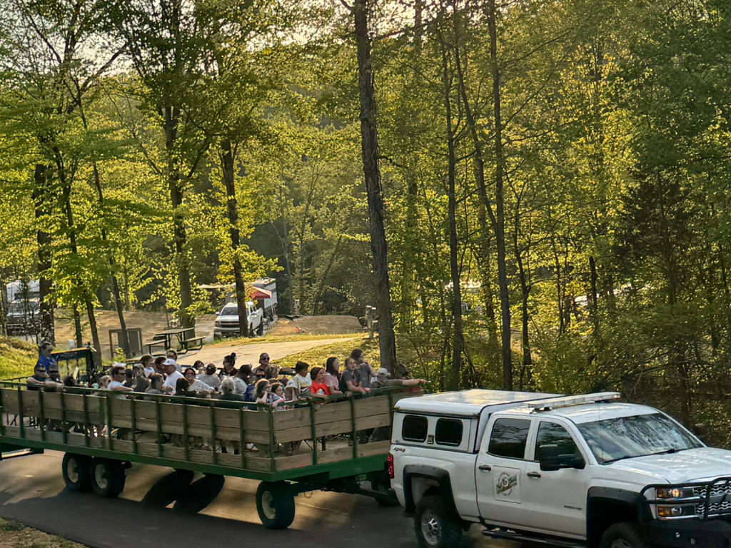 Woodland Wonders Weekend