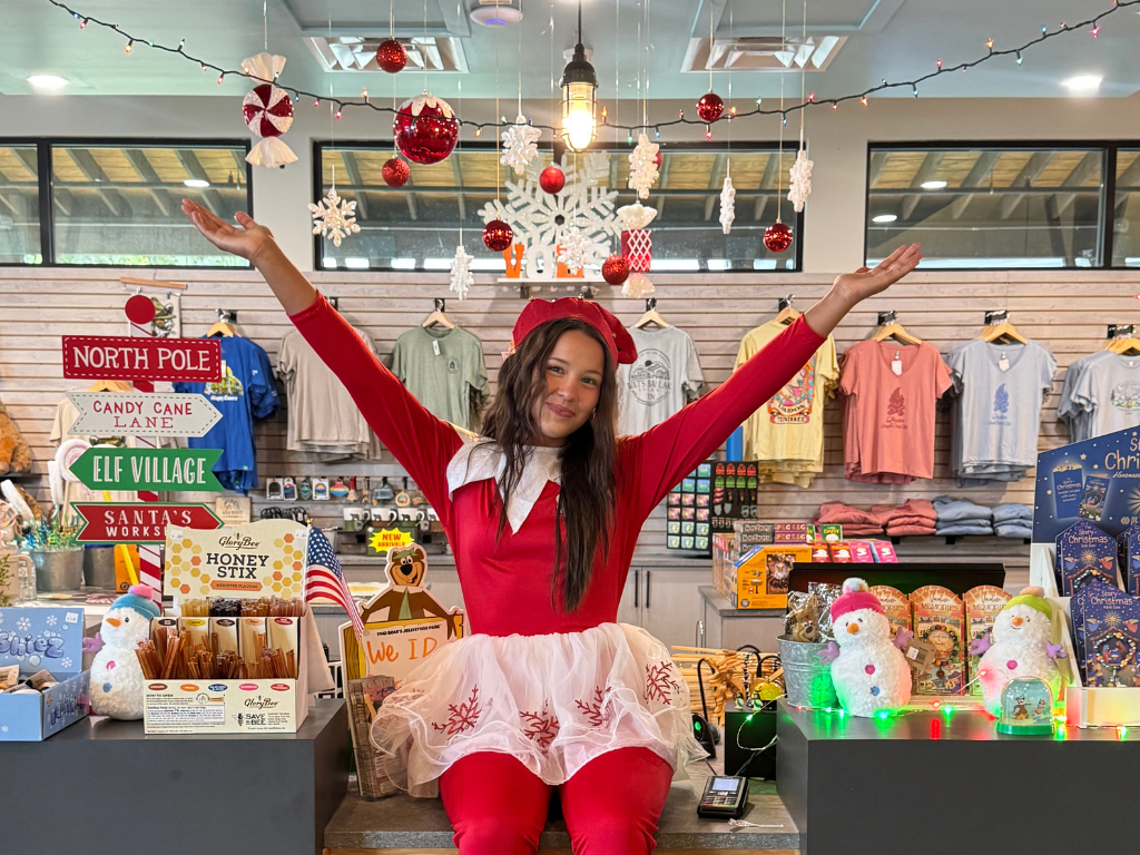 Christmas Carnival