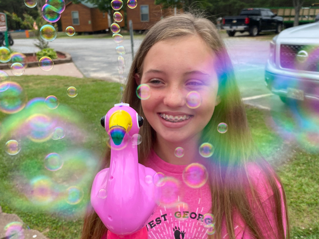 Flamingo Flockapalooza