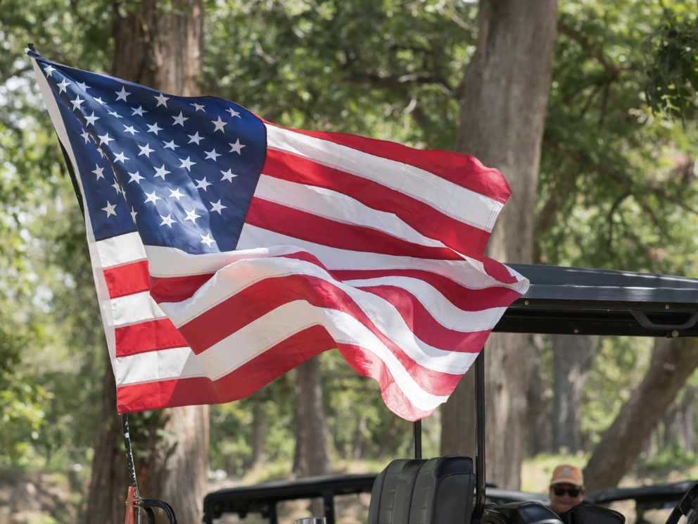 250 Years: A Bear-y American Celebration (Independence Day)