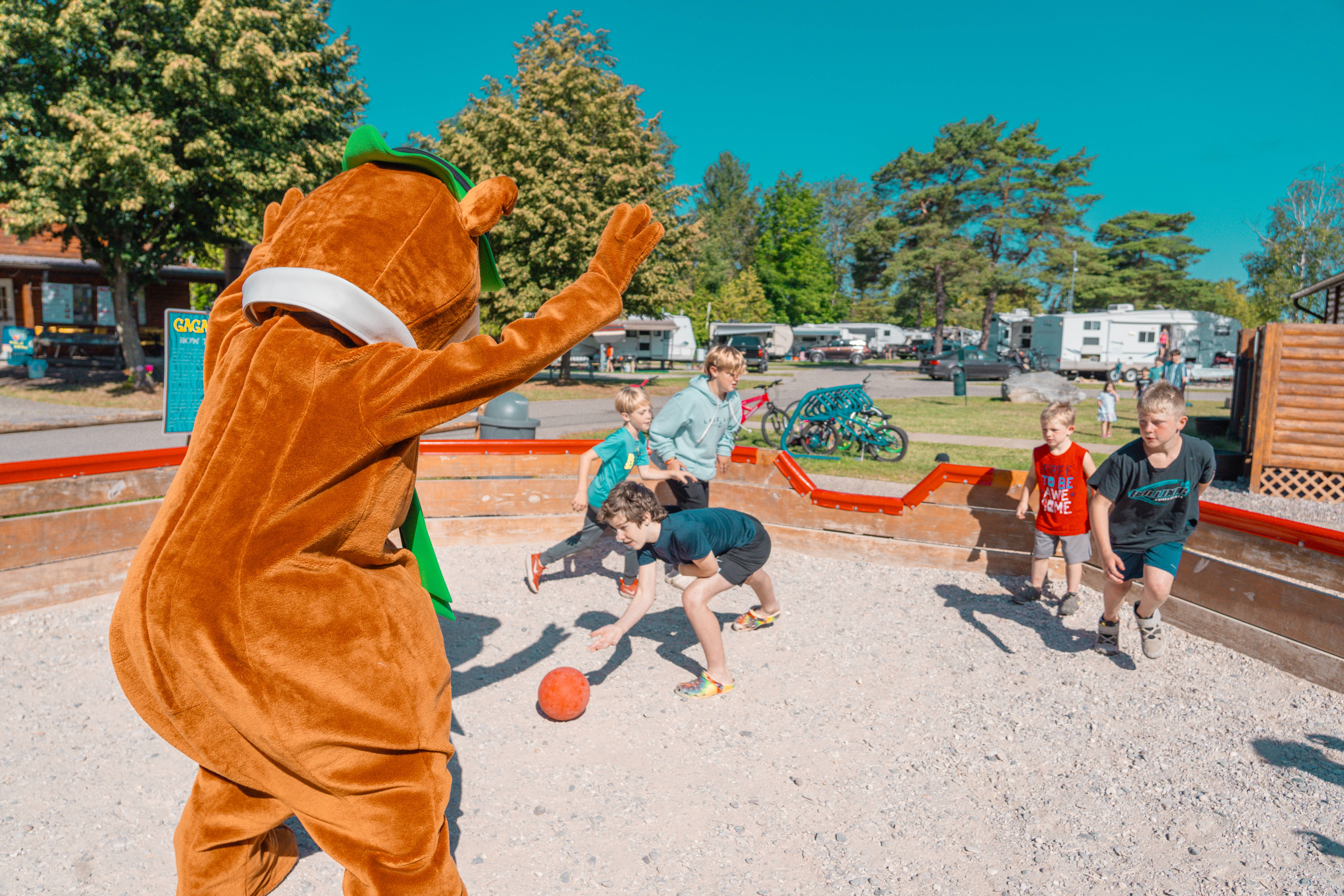 Jellystone Park Petoskey — photo 5