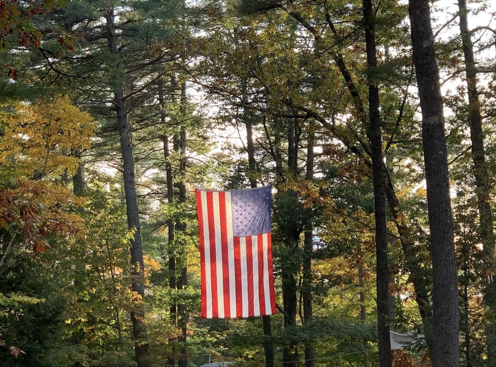 250 Years: A Bear-y American Celebration (Independence Day)