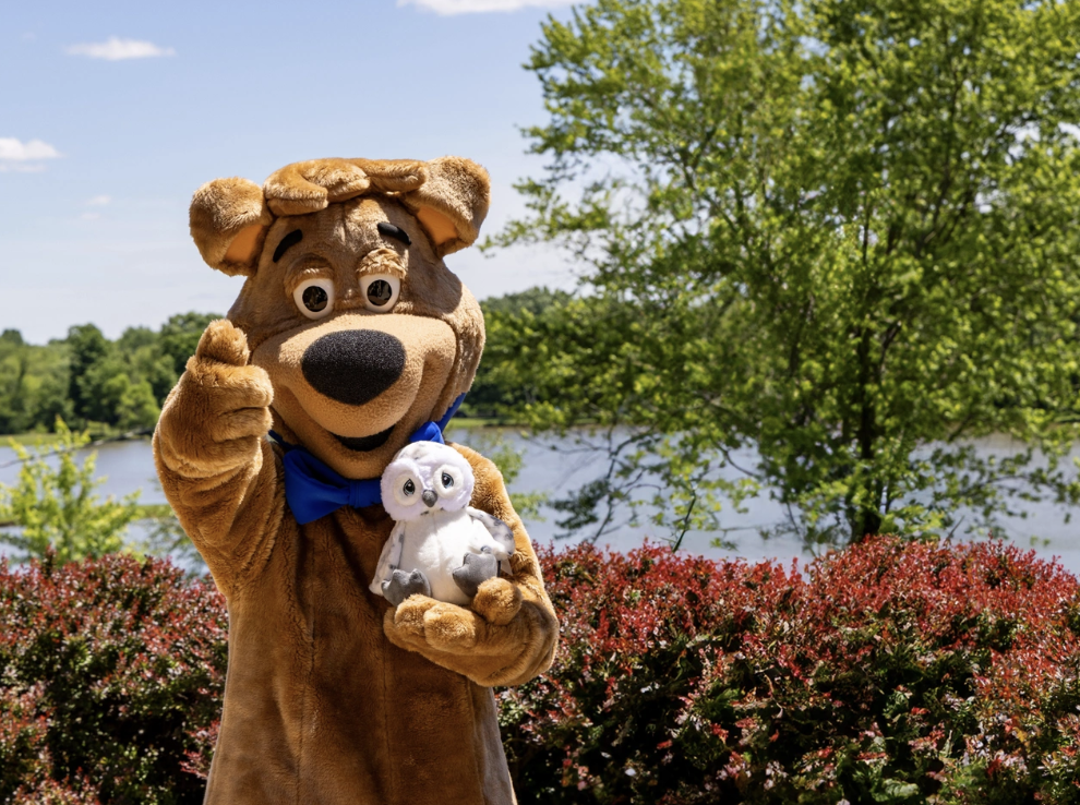 Wake Up, Yogi Bear™ Weekend