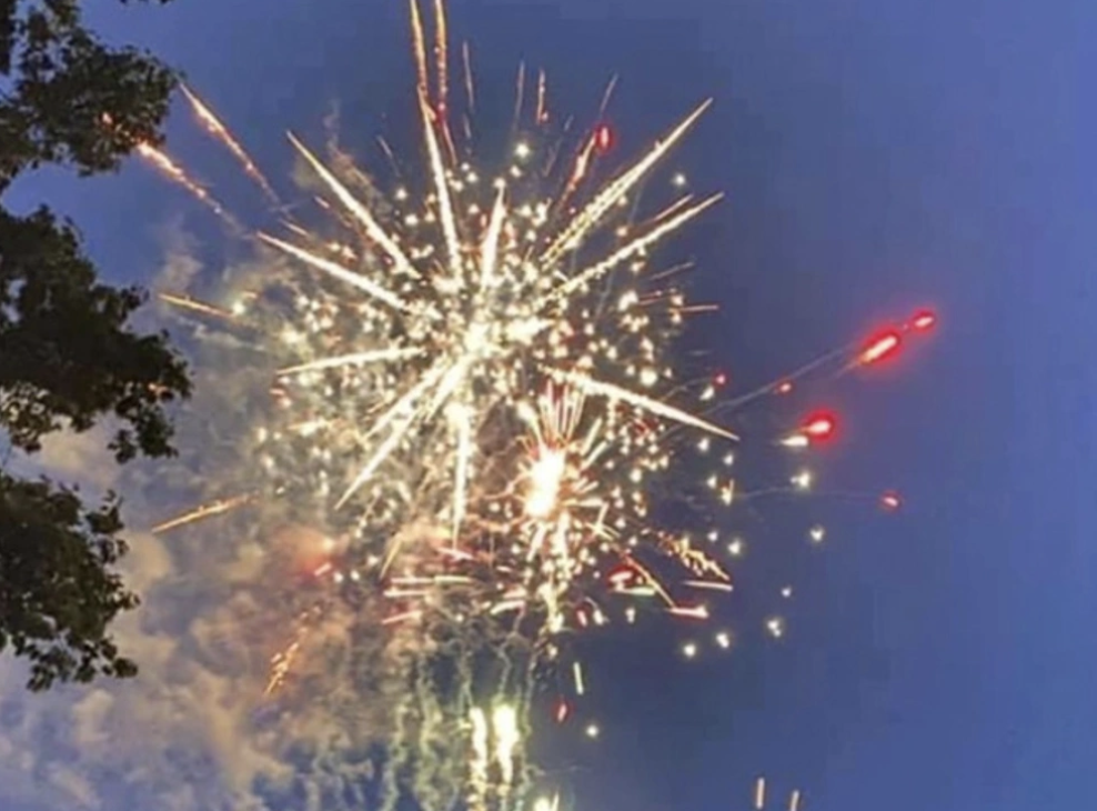 250 Years: A Bear-y American Celebration