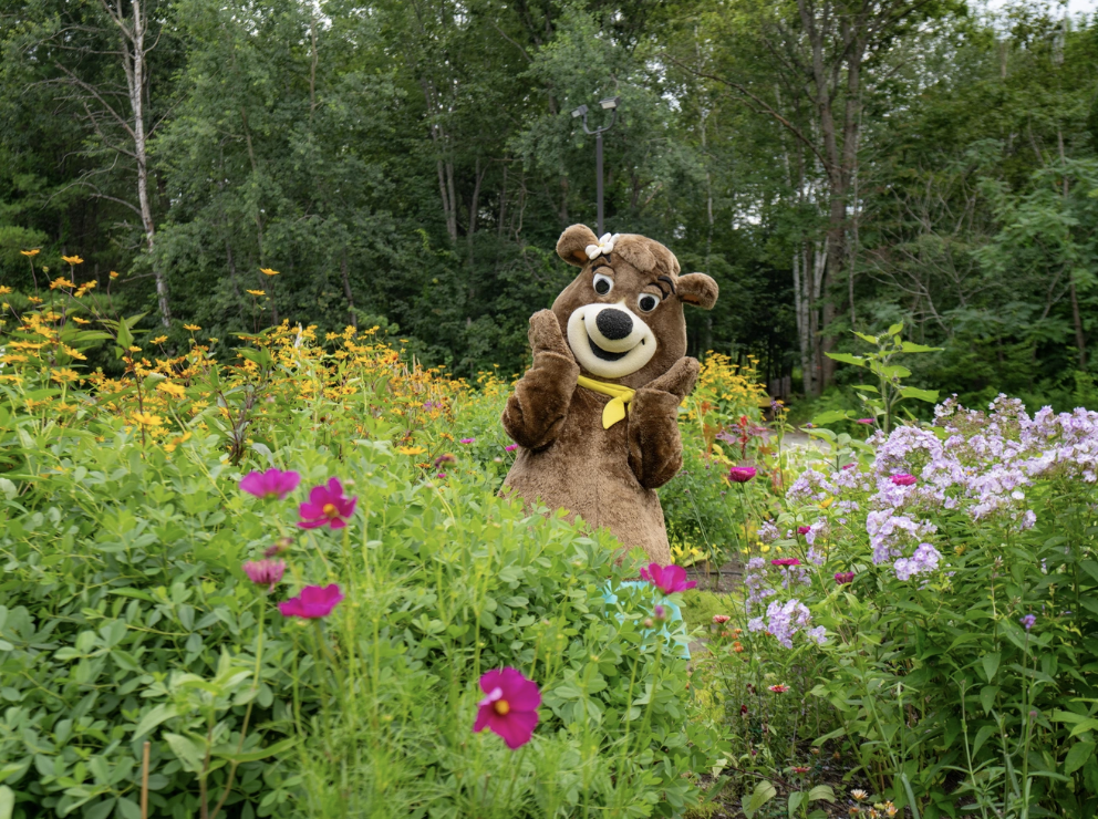 Cindy Bear™ Sweet Escape Weekends