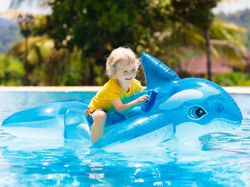 Sharktacular Fun