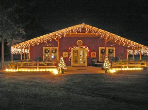 Winter Wonderland