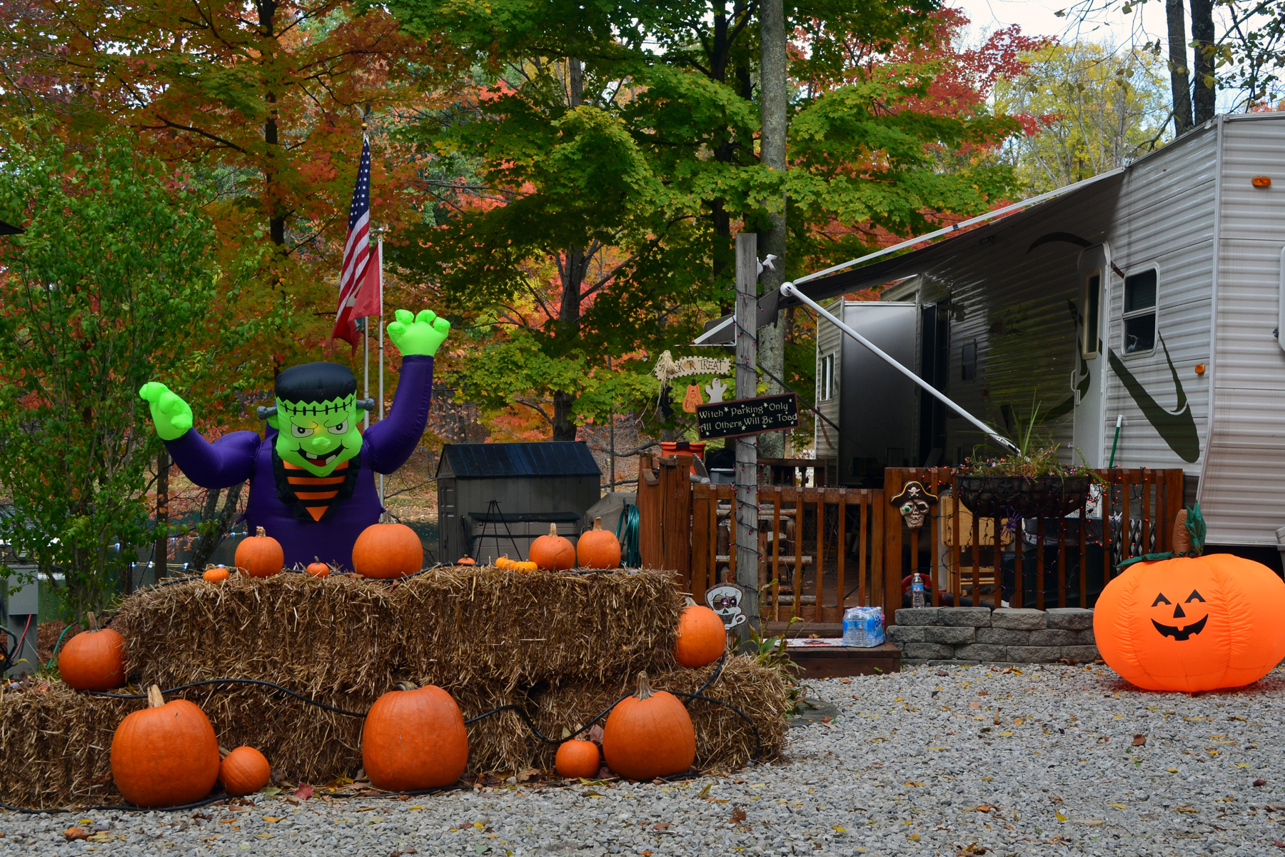 Extended Stays at Jellystone Park.jpg