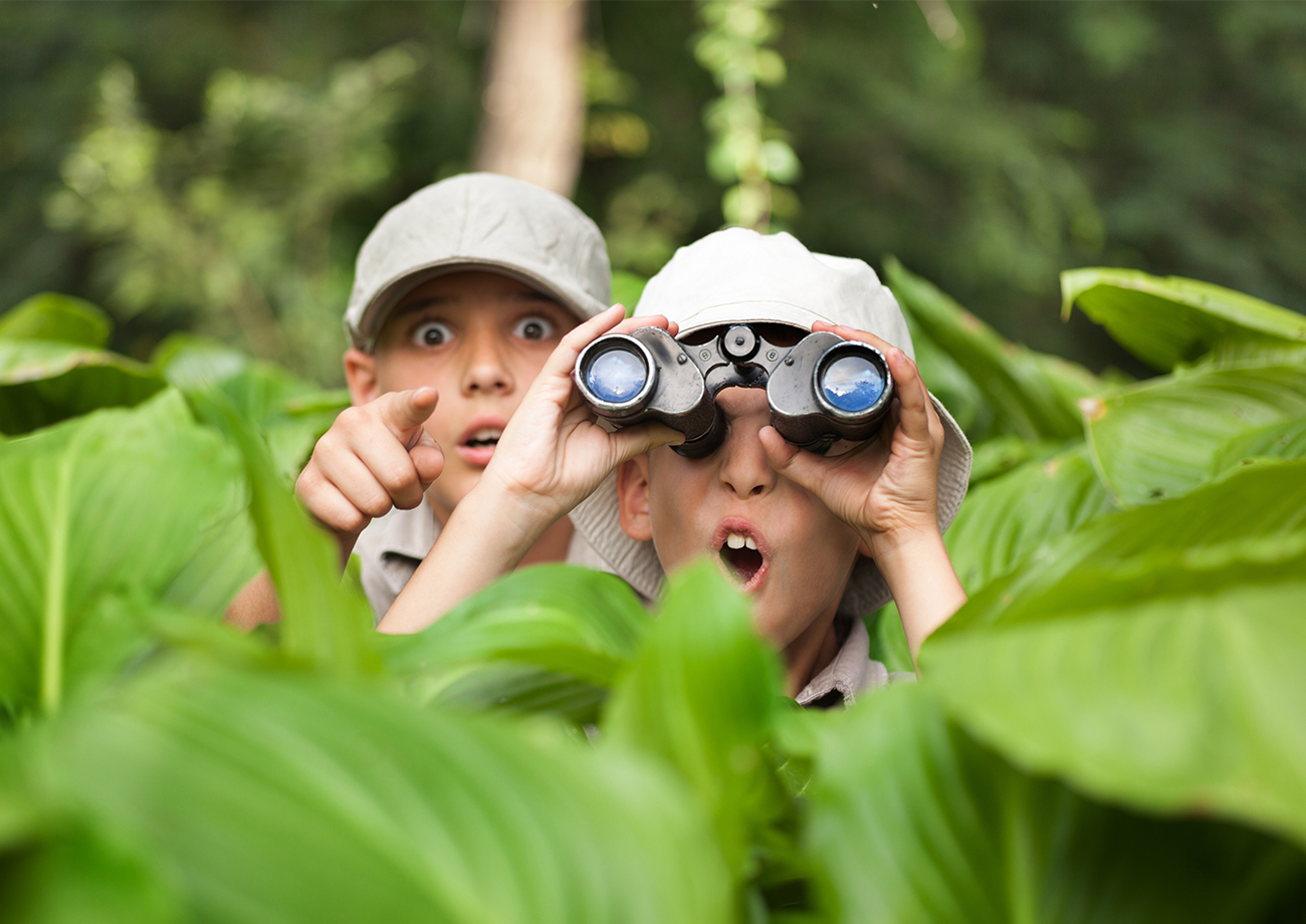 Boo Boo Safari Adventure