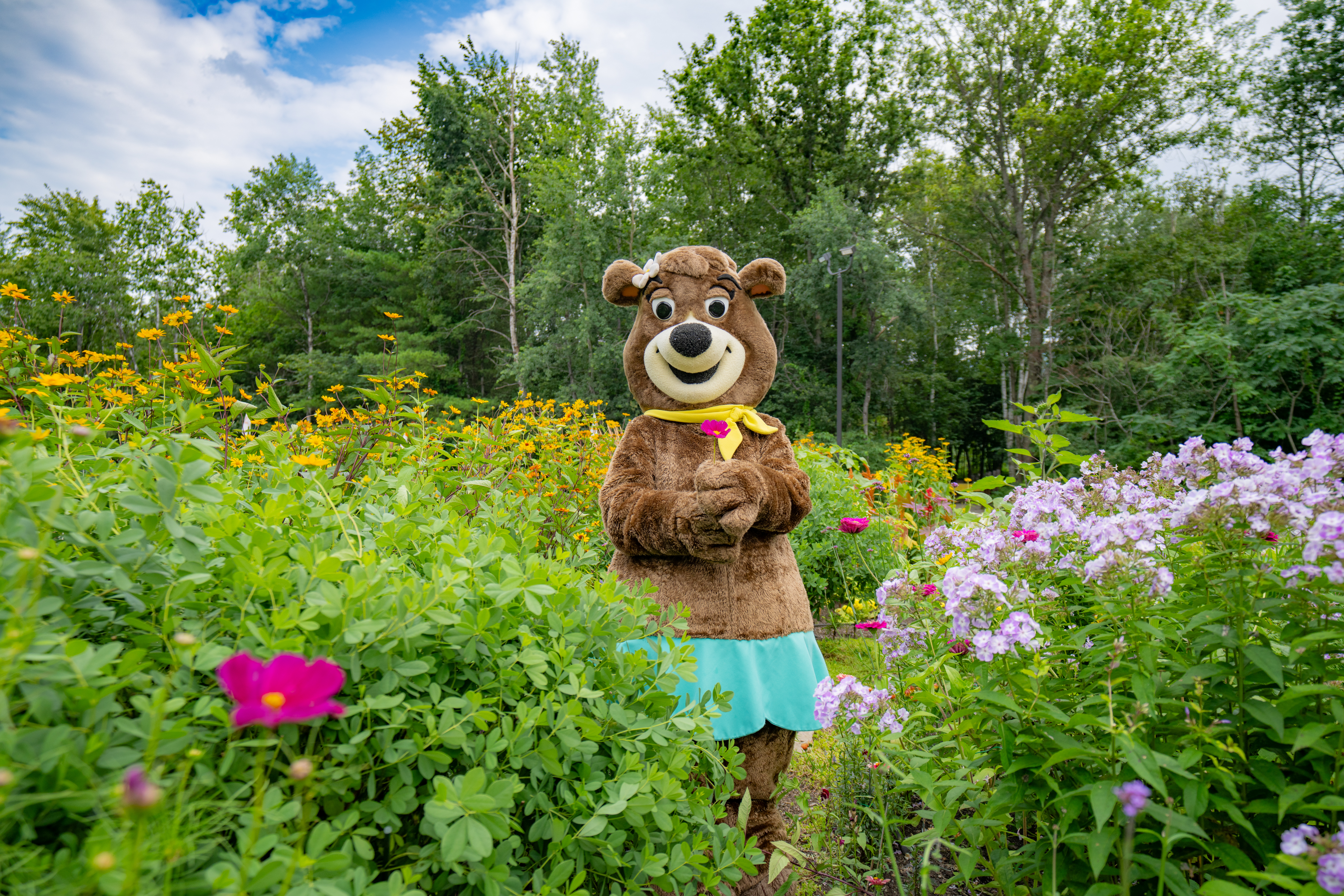 Cindy Bear's Birthday