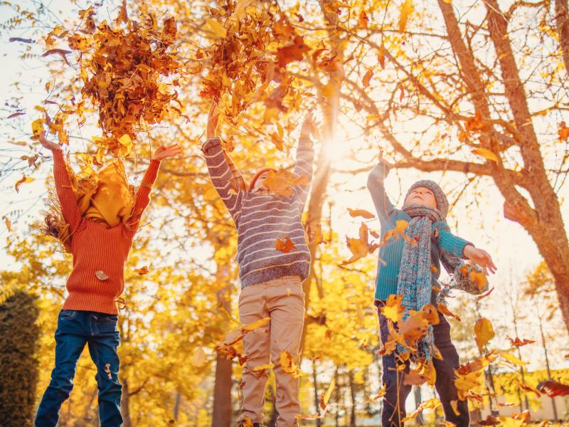 🍂 Gratitude Weekend at Jellystone™! 🍂