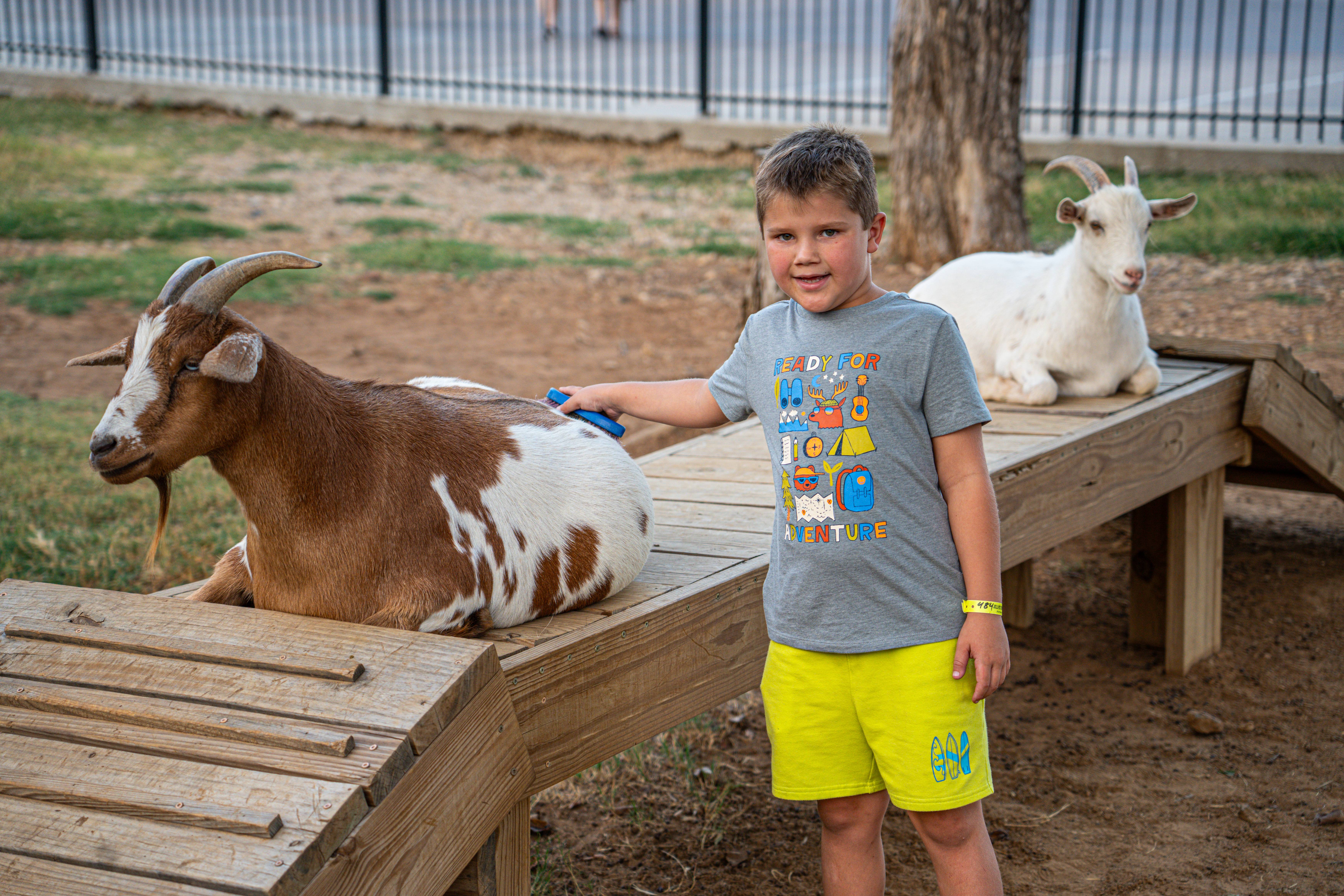 Down on the Farm with Yogi and Friends!