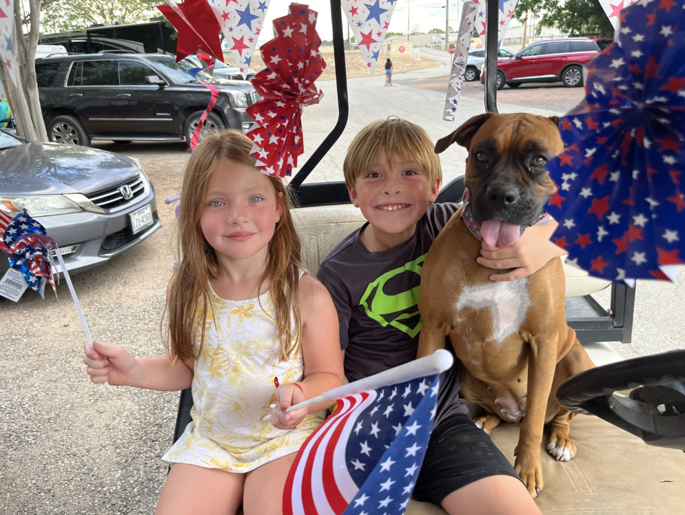 250 Years: A Bear-y American Celebration (Independence Day)