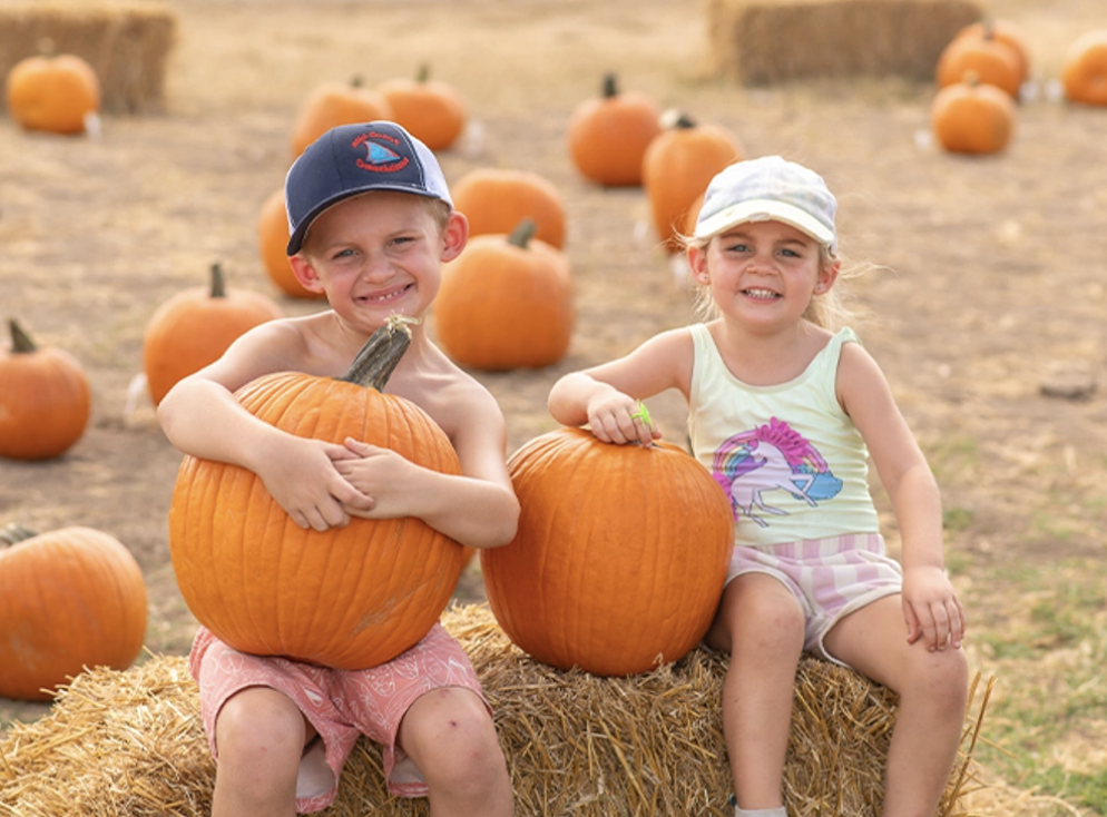 Pumpkin Pic-A-Nic Weekends