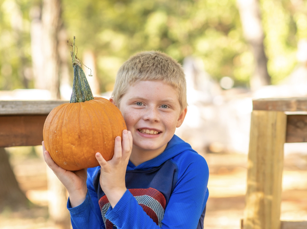 Pumpkin Pic-A-Nic Weekends