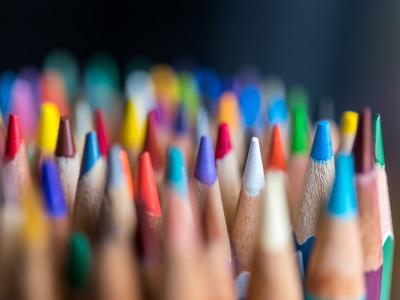 Color the Park