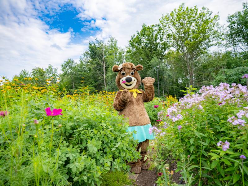 Springtime in the Park