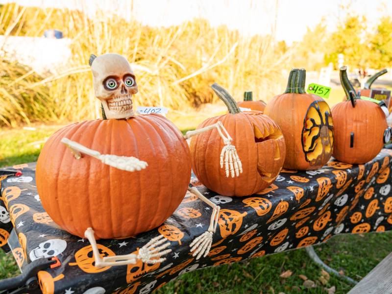Pumpkins & Clowns Halloween Weekend 1