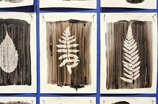 Discovery Dinner: Nature Printing