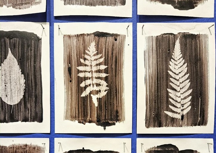 Discovery Dinner: Nature Printing