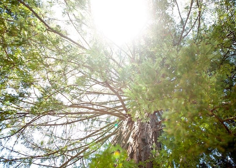 Breathe, Center, and Listen: Flexing with Life Changes