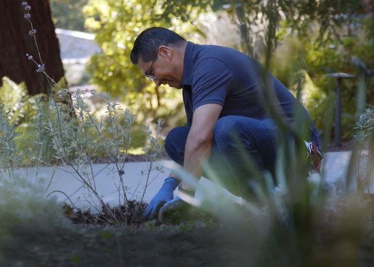 Rooted Like Redwoods: A Landscape Professional Finds His Place at 1440