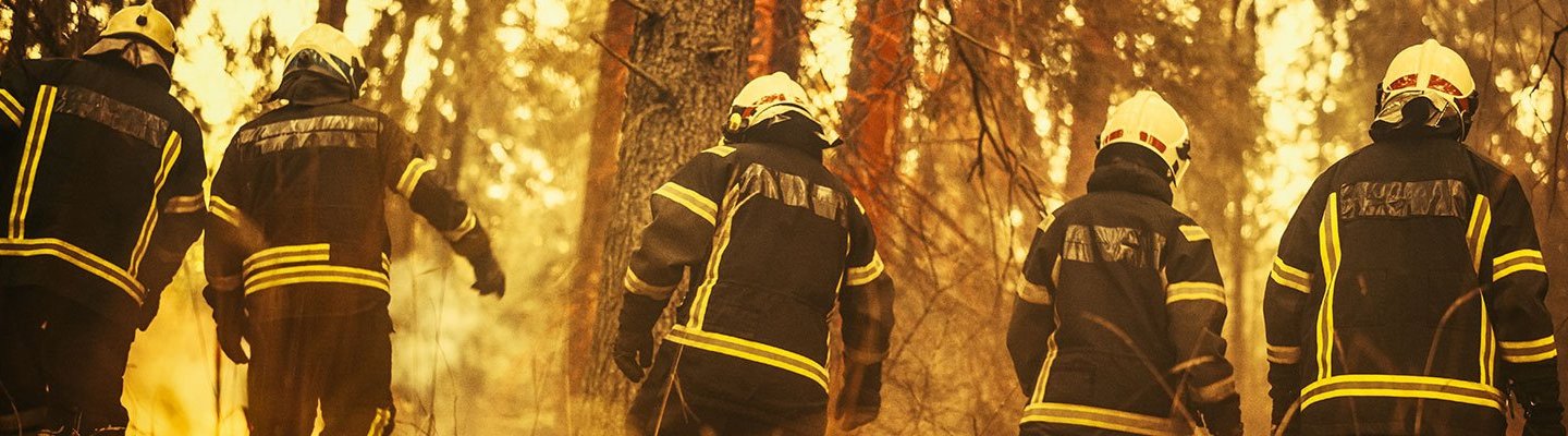 Healing Our First Responders