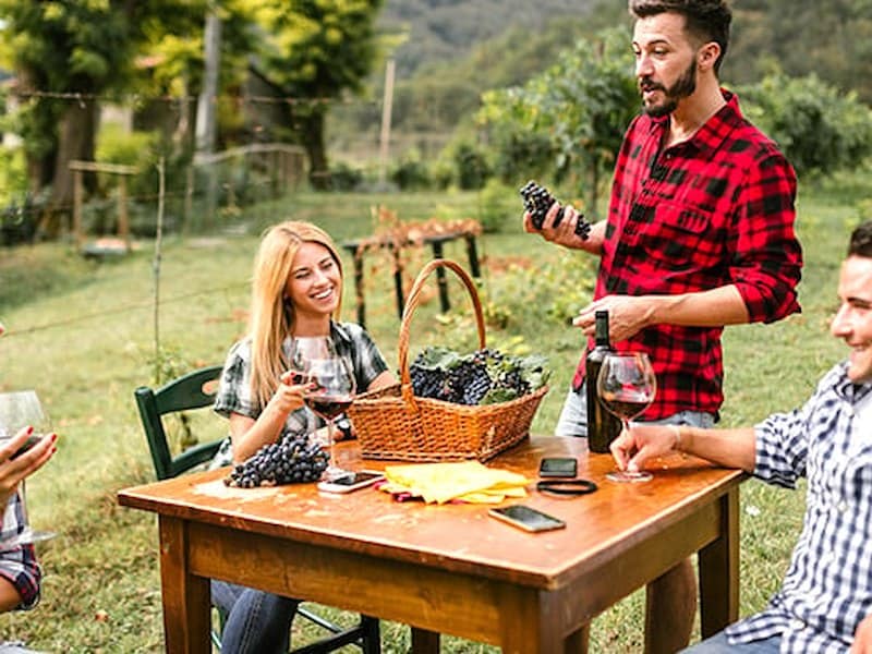 Top 5 Things to Do in Healdsburg