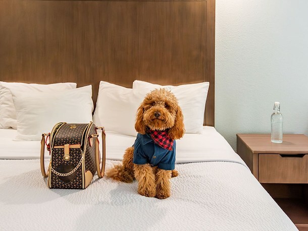 Is Gatlinburg River Inn pet-friendly?