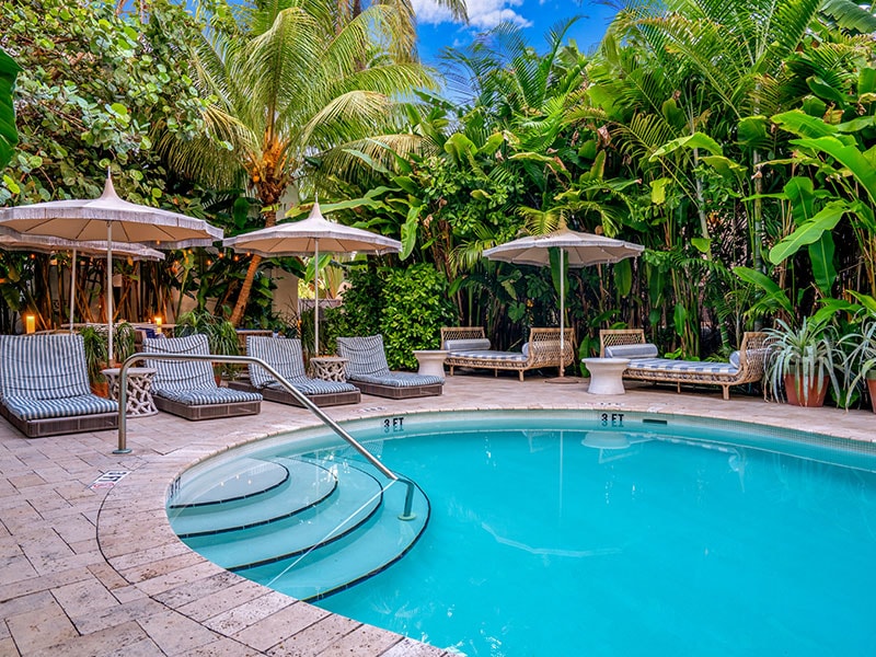 A curved pool with lounge chairs and umbrellas surrounded by tropical plants.