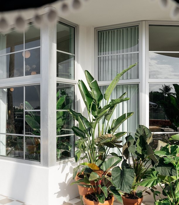 A Boutique Oasis Near the Beach