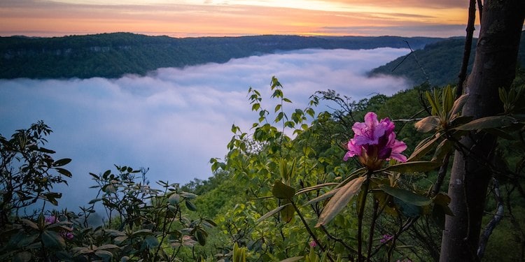 Spring In West Virginia - Adventures on the Gorge