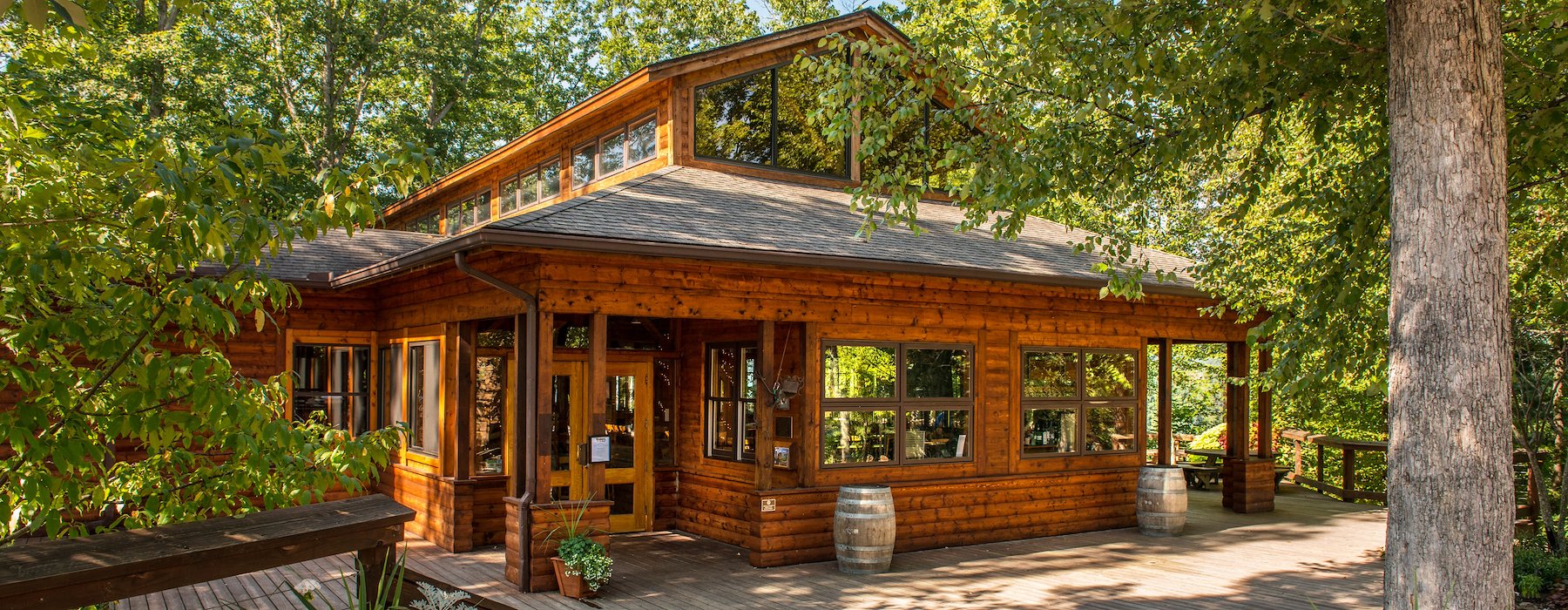 Rustic wooden cabin surrounded by lush greenery Adventures on the Gorge - Lansing West Virginia USA